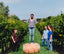 Weingut Familie Fass Lamberth