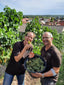 Neuigkeiten aus dem Weingut