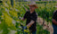 Weingut Lamberth Weinberg Reben