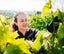Familie Lamberth Tochter in den Weinreben