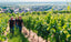 Weingut Lamberth Weinberg