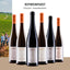 Rotweinpaket mit sechs Rotweinen vom Weingut Lamberth